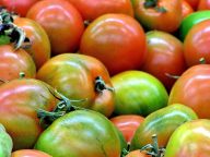 PromisingStrategies-tomatoes.jpg