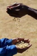 TanzaniaSmall.jpg