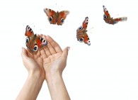 iStock_000004854491Large