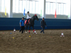 Working Trot with ‘snake’ element Working Trot with ‘snake’ element