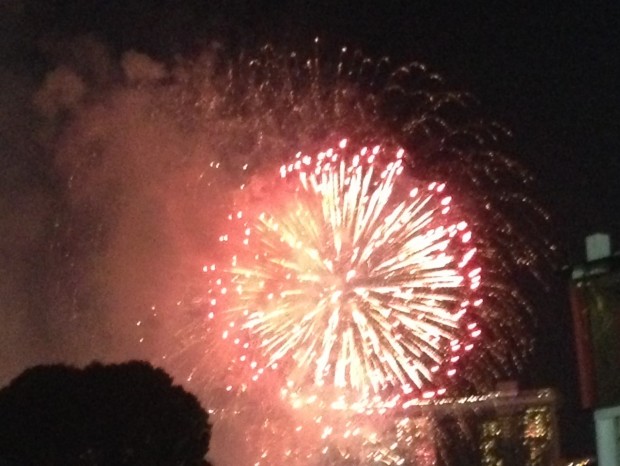Fireworks to celebrate Singapore National Day on 9th August, which occurred during the 10th Asian & Epilepsy Congress.