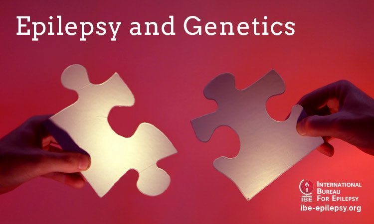 Epilepsy and Genetics - ibe-epilepsy