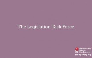 The Legislation Task Force