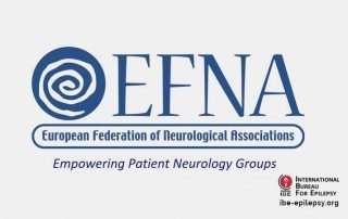 Former MEP Gay Mitchell receives EFNA award