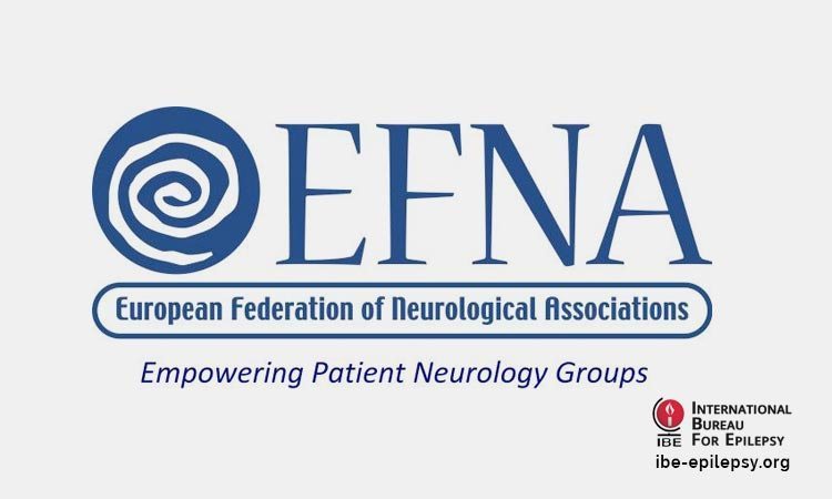 Former MEP Gay Mitchell receives EFNA award