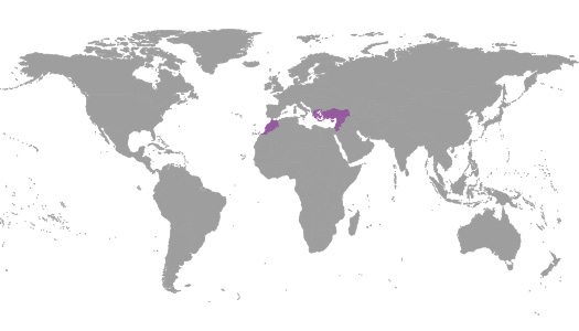 IBE Regional Commitee – Western Mediterranean IBE Regional Commitee - Western Mediterranean