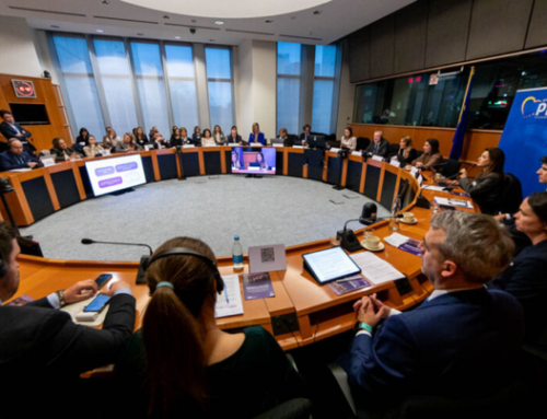 From Silos to Synergies: Advancing Epilepsy and Rare Disease Policy in Europe